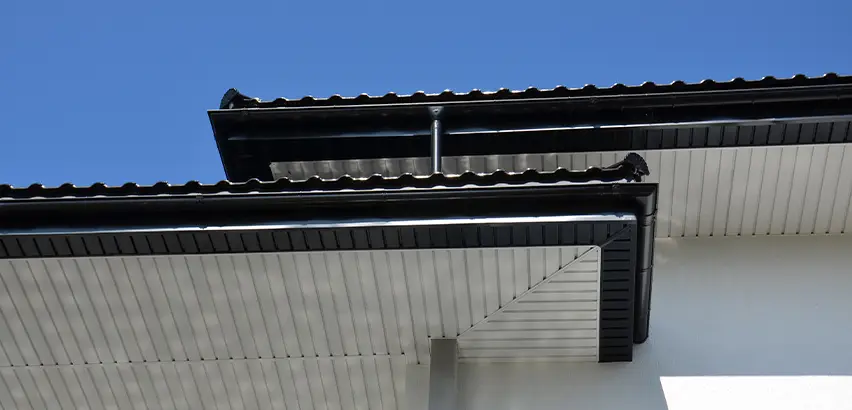 Roof Overhang Repair in Federal Way